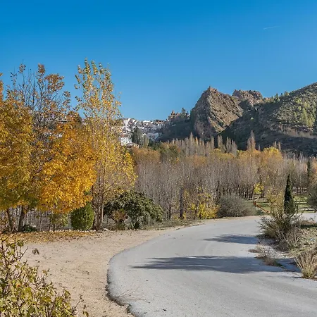 Cortijo Plantio Castril