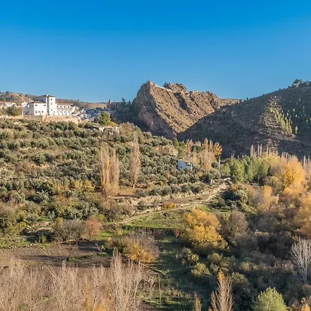 Cortijo Plantio Apartment