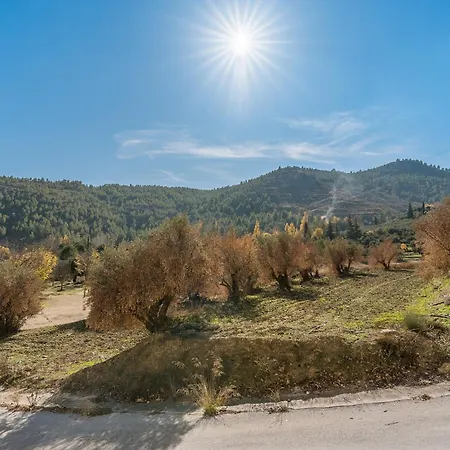 Cortijo Plantio