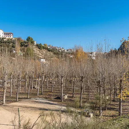 Cortijo Plantio Castril