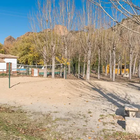 Cortijo Plantio *